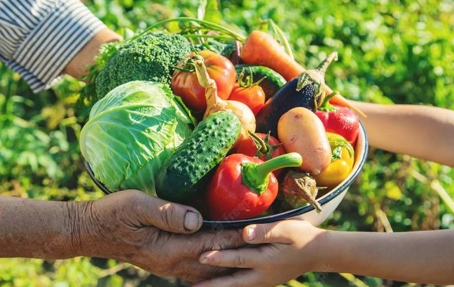 agricultura familiar contag