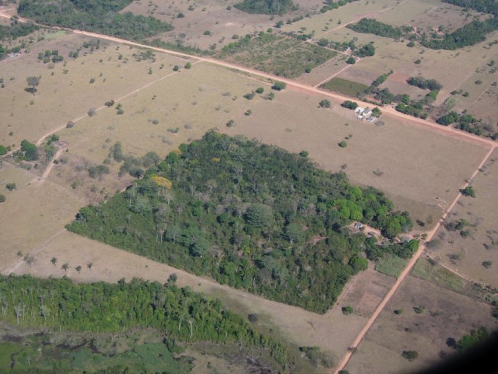 2.2 Aerial view of a forest fragment Alexandre C. Lees redim