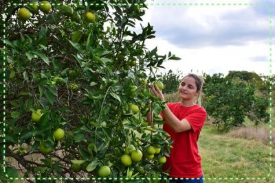 2AGRO ps2025