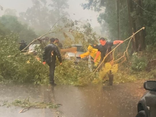 WhatsApp Image 2025-05-08 at 08.49.39.jpeg