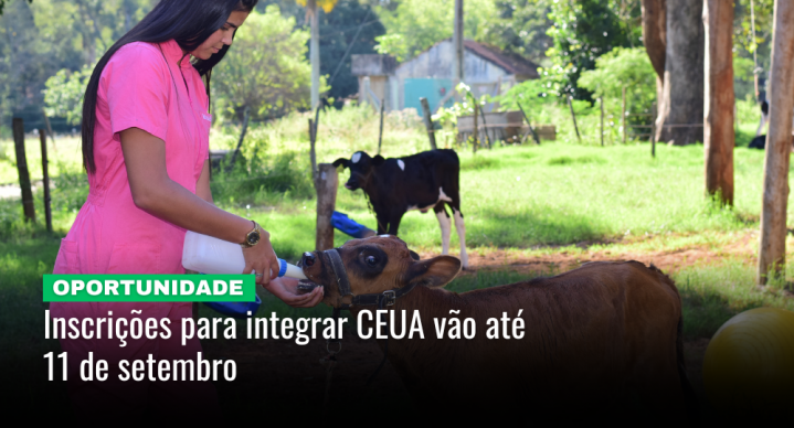 seleçãoceua notícia03092025