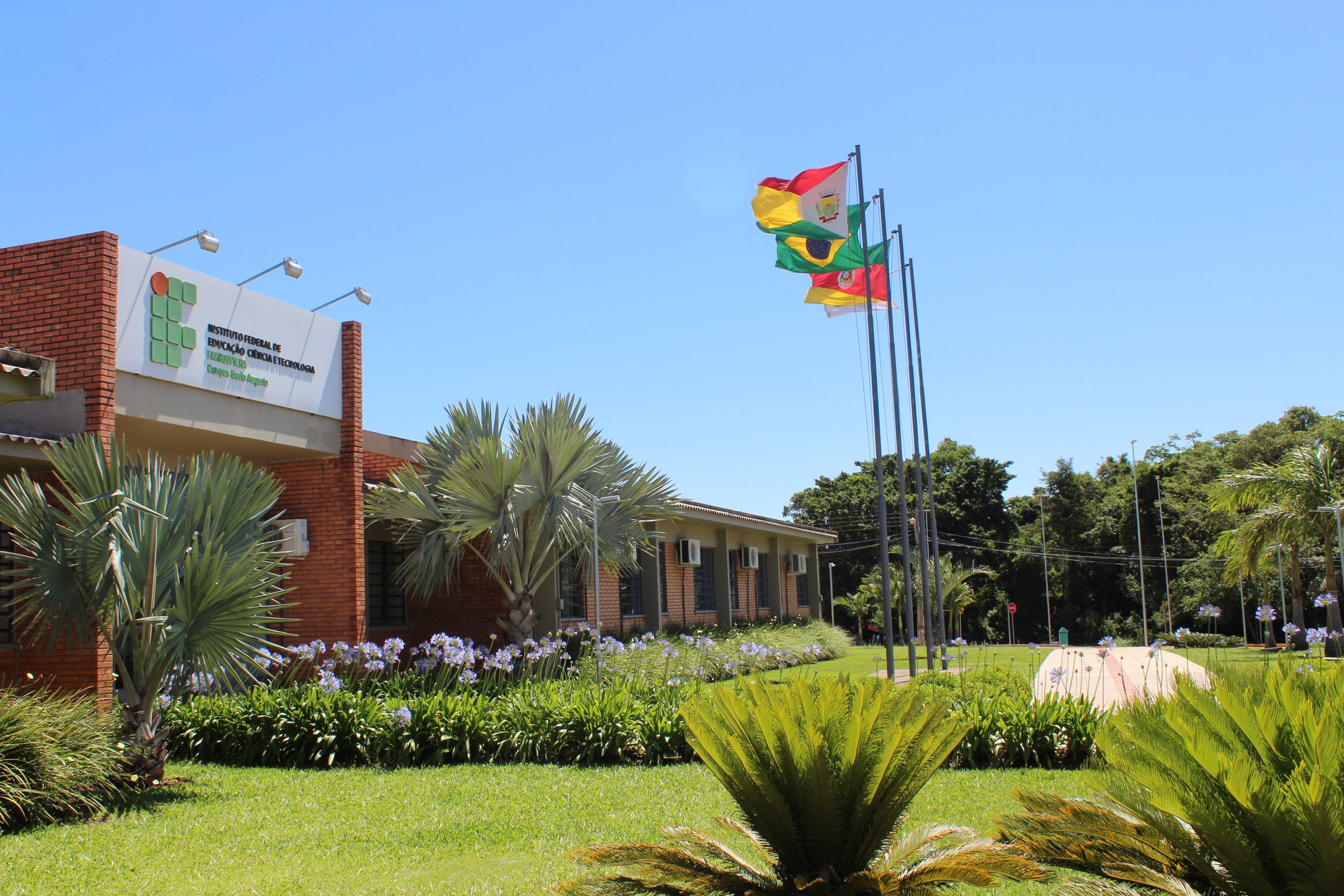 Coloca essa foto no final