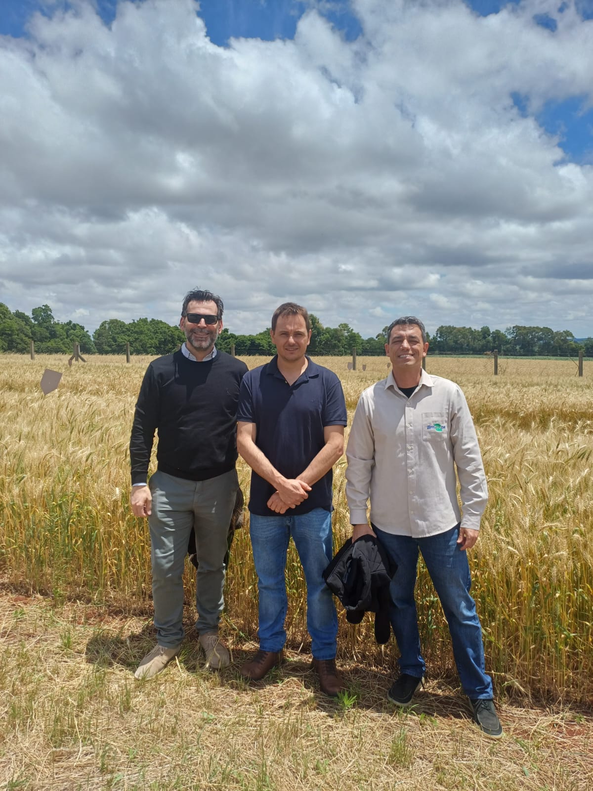 Parceiros do projeto