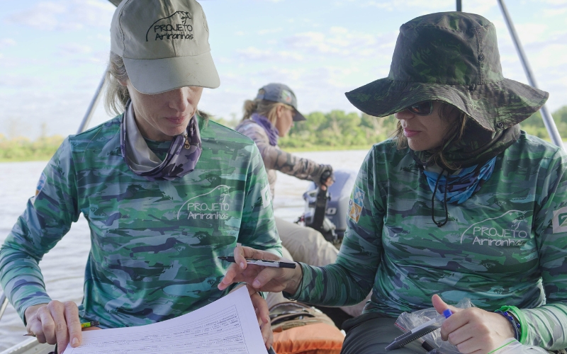 Sem nome 800 x 500 px 11