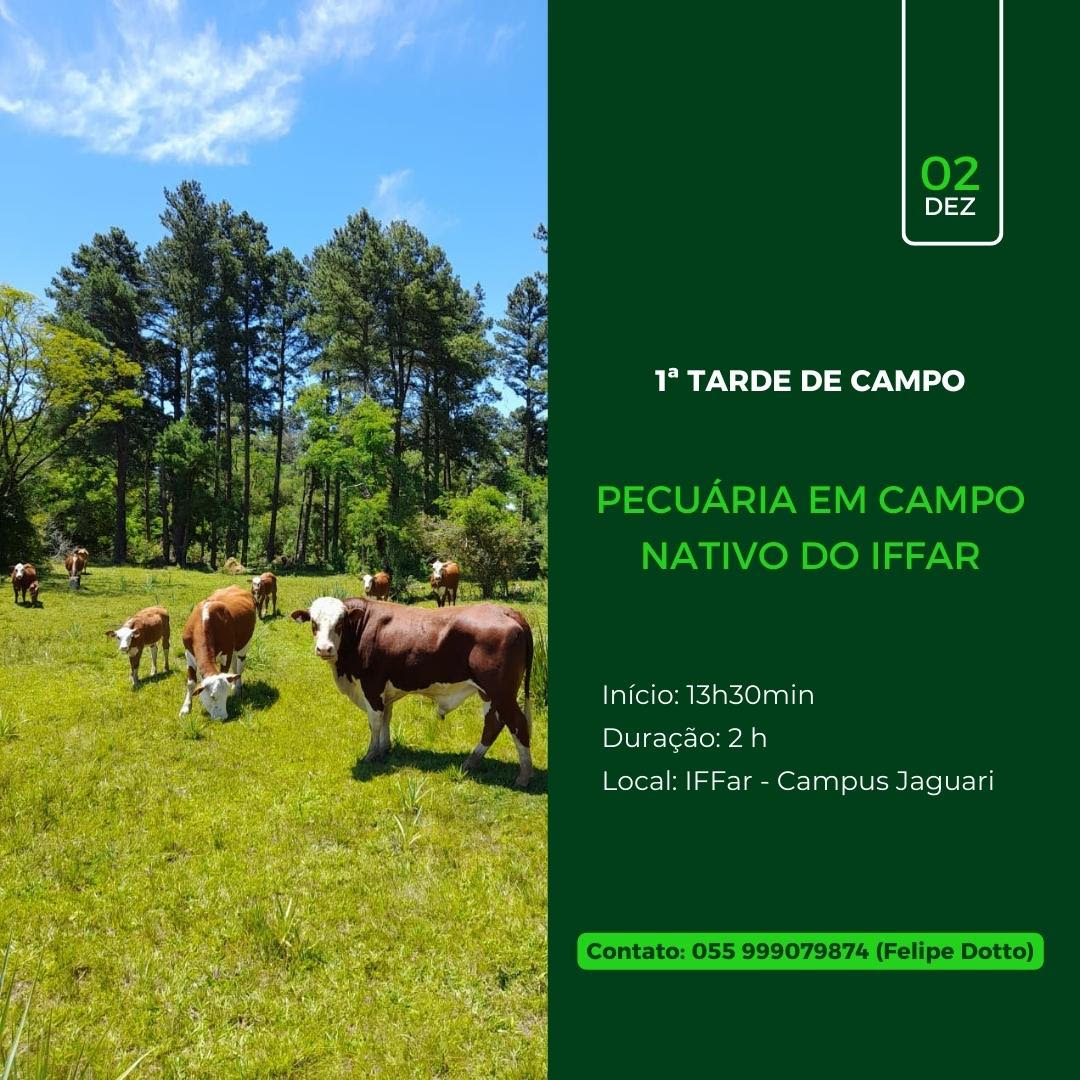 dia de campo