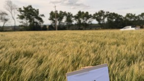 IFFar – Campus Santo Ângelo realiza Dia de Campo sobre culturas de inverno e plantas de cobertura IFFar – Campus Santo Ângelo realiza Dia de Campo sobre culturas de inverno e plantas…